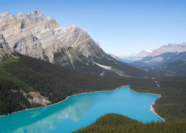 Peyto Lake on a beautiful clear sky day in the Canadian Rocky Mountains.