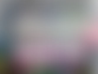 Settle Your Scores and I Fight Fail Announce Spring Tour