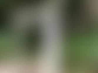 第187号 2025年8月 そろそろ水不足が心配される今年の夏です💦