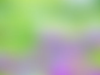 第197号 2026年6月 昨年に増して、“熊出没注意”です!