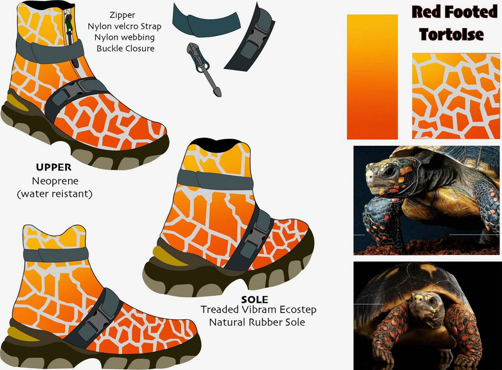 red tortuse