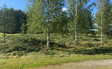 WhatsApp Image 2025-10-07 at 20.00.24.jpeg