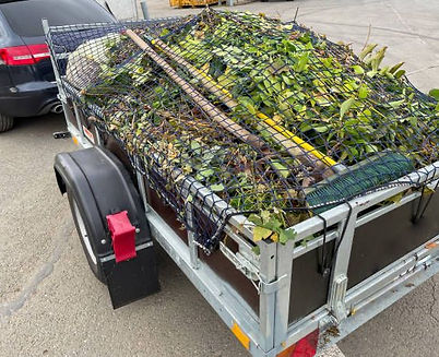 Imagem do WhatsApp de 2025-10-07 à(s) 13.05.49_5c3ccd5e.jpg