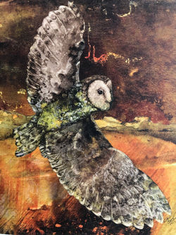 Raven Crossing Studio: Jan Beck