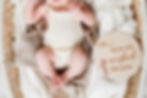 Sage-56_websize