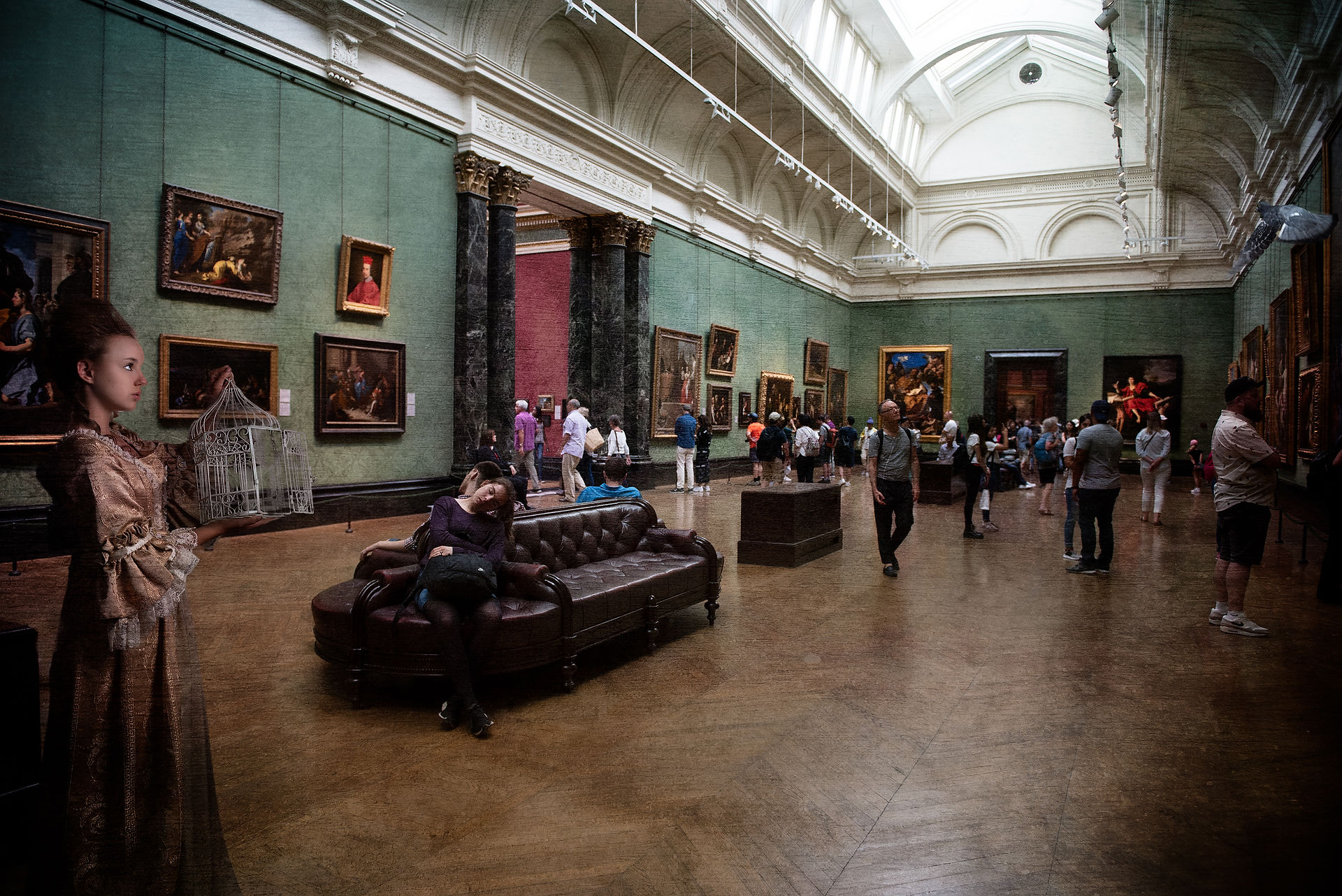 Bird in the gallery