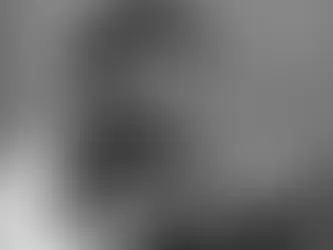 Em 1944, algures na Guiné Equatorial, a selva parecia determinada a engolir tudo, incluindo as intenções daqueles que afirmavam atravessá-la para a compreender. 