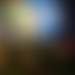 Memories of the Festival