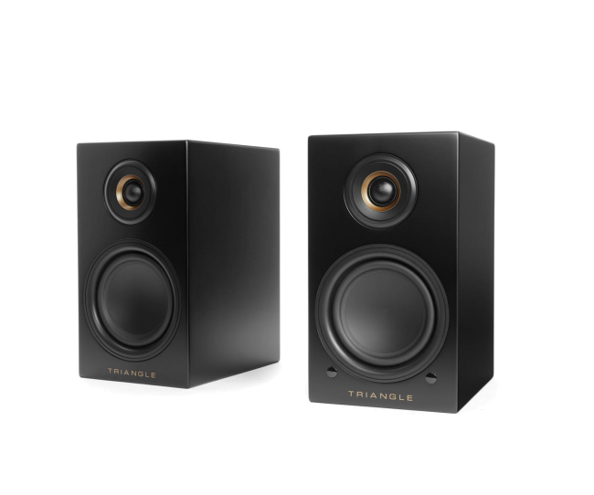 Triangle Active LN01A