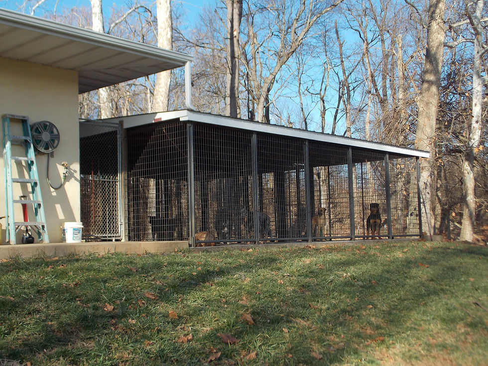 Berkeley K9 School for All Dogs Boarding