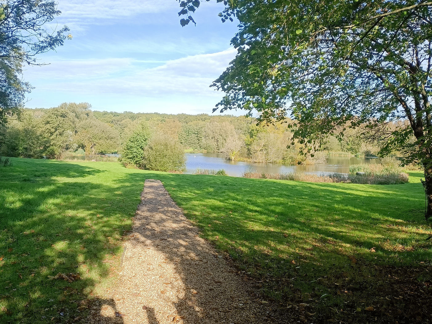 IMG20231017102236.jpg