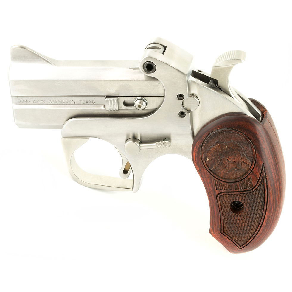 Bond Arms CA Defender