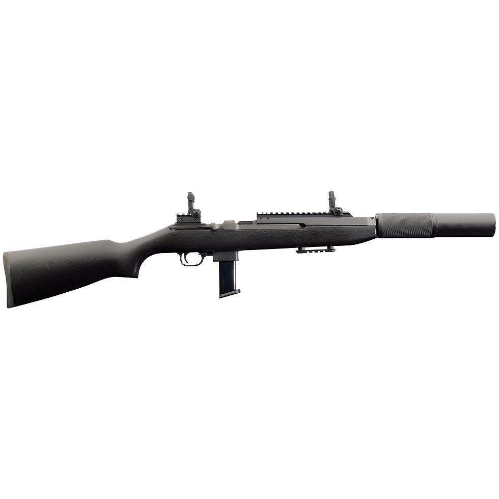 Chiappa M1-9 Modern Black Rifle