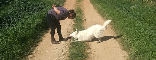 Anim'allié éducateur canin cours réeducation Gard