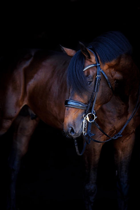 Happy Al-May25-3.JPG