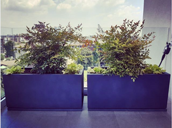 Terrazza a San Siro Milano