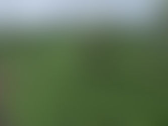 Pesona Lautan Hijau dari Puncak Kebun Teh Wonosari, Lawang