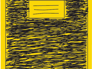 What We Lost While We Were DocumentingMy Frustration Spoken Out Loud