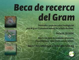Suport a la 1a edició de la beca de recerca Gram