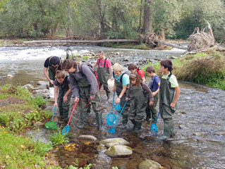 PER FIRES DE SANT NARCÍS, TASTETS DE NATURA A LES RIBES DE TER