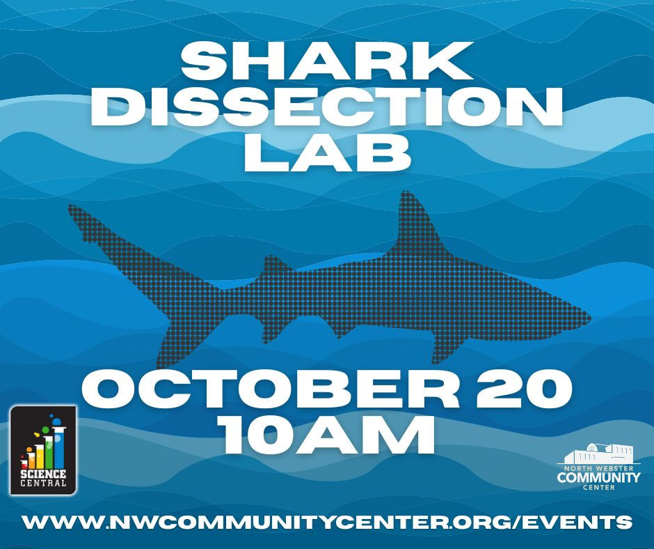 Science Central Shark Dissection