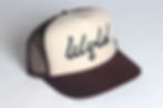 Miniaturbild: Brown WYLD