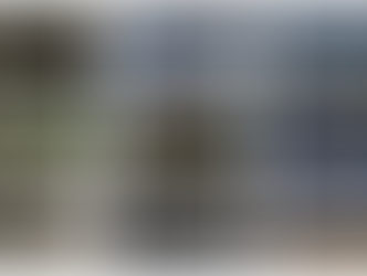 O OLP inaugurou uma Exposição sobre a Língua Portuguesa no Google Arts & Culture