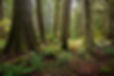 DSC_4323.jpeg