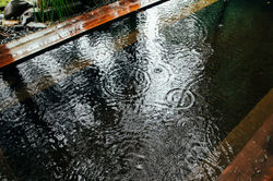 LINE_ALBUM_20220907雨のLaterra_230108_26