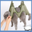 Thumbnail: Cat Grooming Restraint Bag with Hammock
