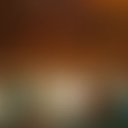 The History of the Wedding Dress