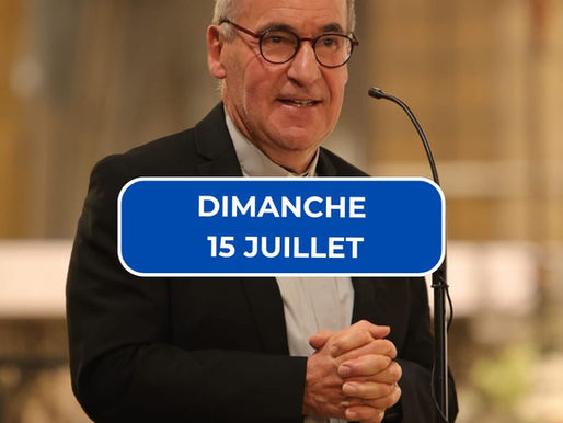 Homélie du dimanche 15 Juillet 2025