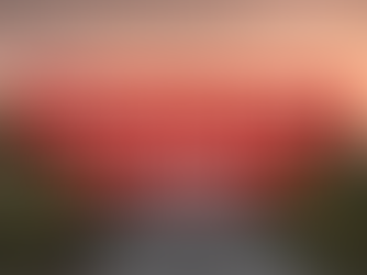 Éditorial du Dimanche 7 décembre 2025