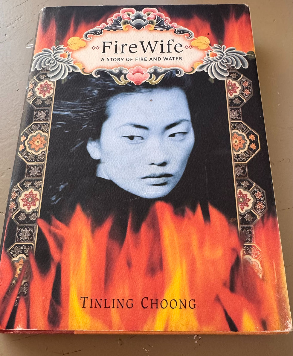 FireWife Novel by Tinling Choong
