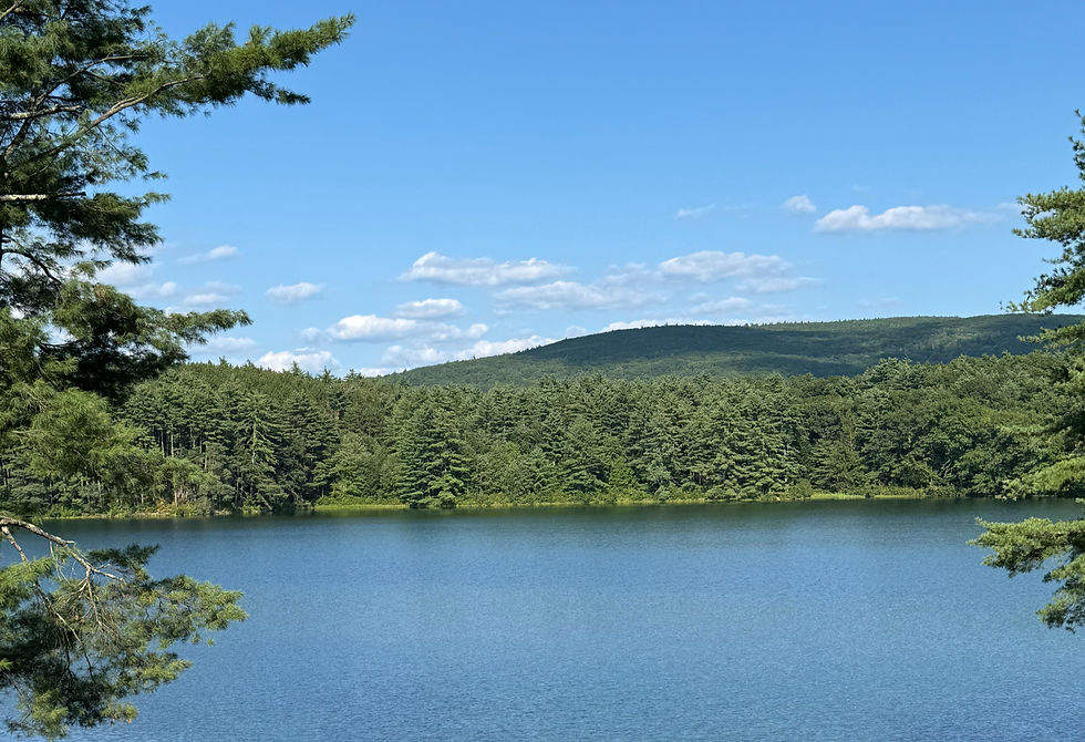 The lake in Lake Pleasant, Massachusetts