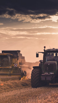 Un tracteur et une ensileuse dans un champs