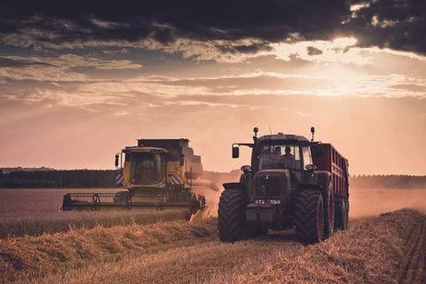 Un tracteur et une ensileuse dans un champs