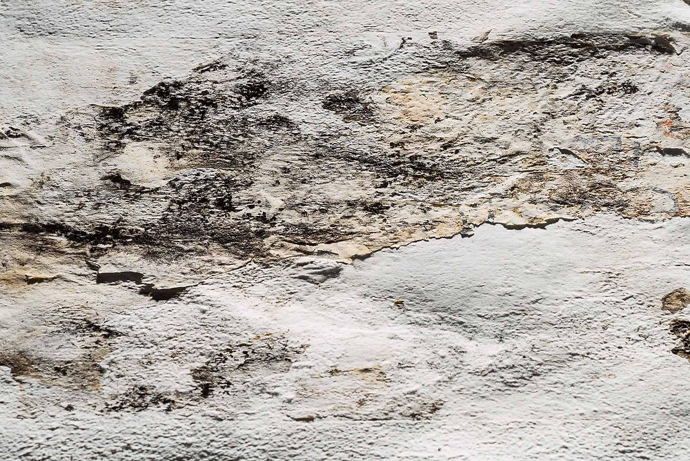 nota I (detail)