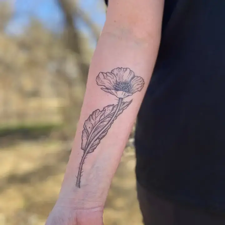 Wild Poppy Temporary Tattoo