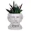 Thumbnail: Edgar Allan Poe Planter