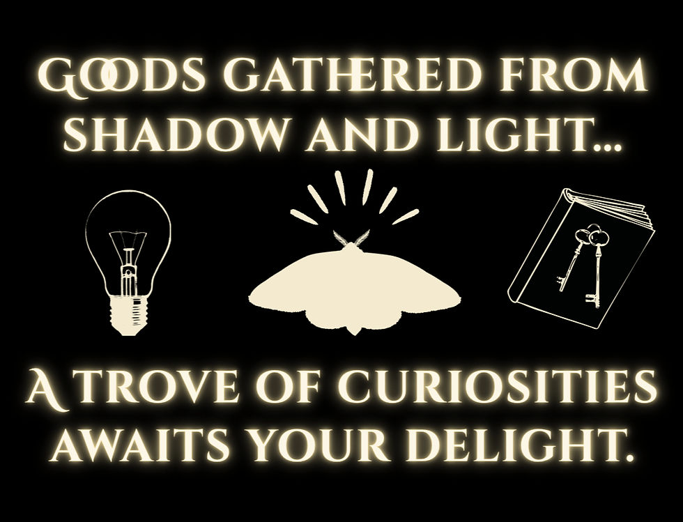 Our Cabinet of Curiosities awaits your perusal. Click to find the magic door.
