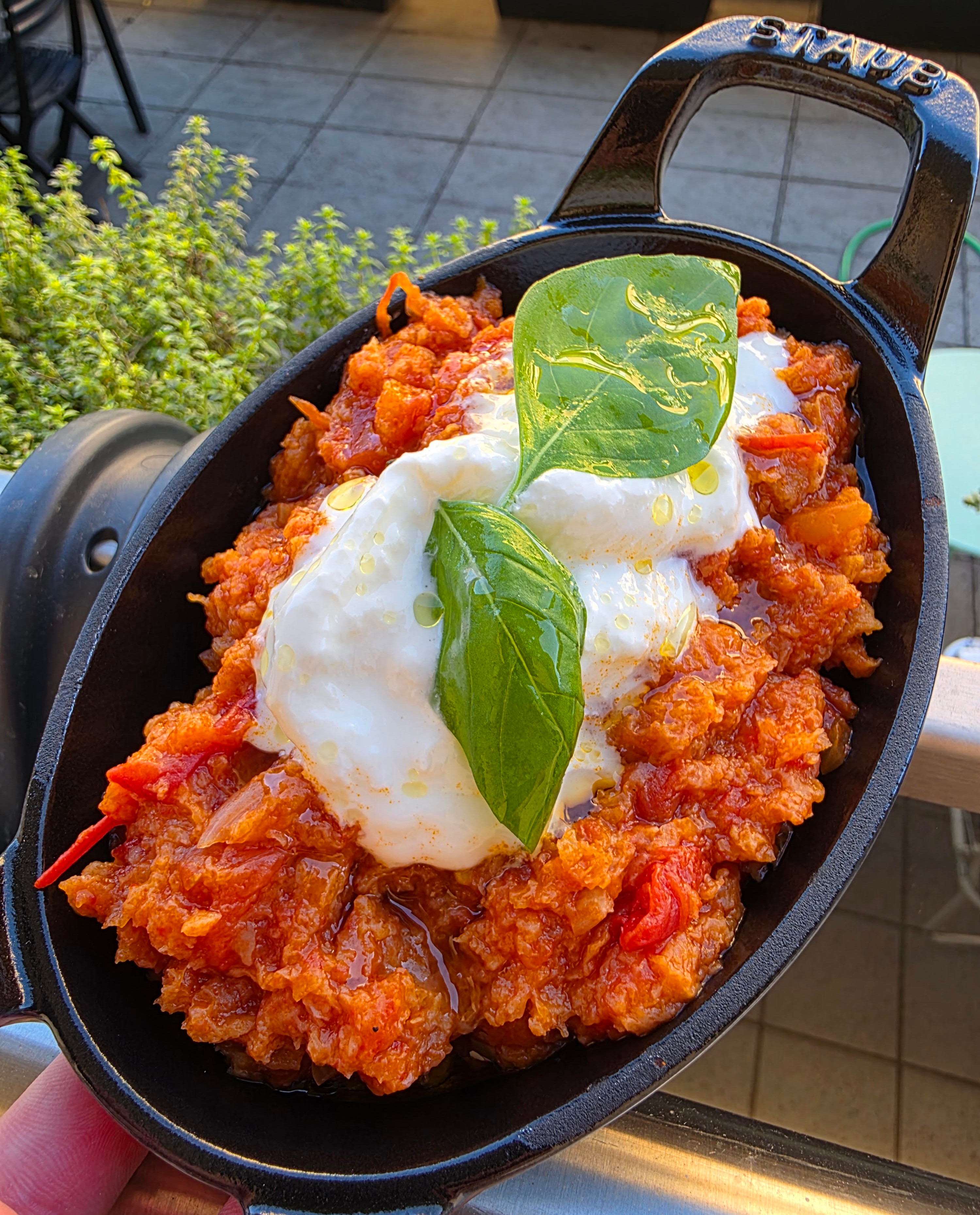 Pappa al pomodoro, stracciatella, olio al basilico.