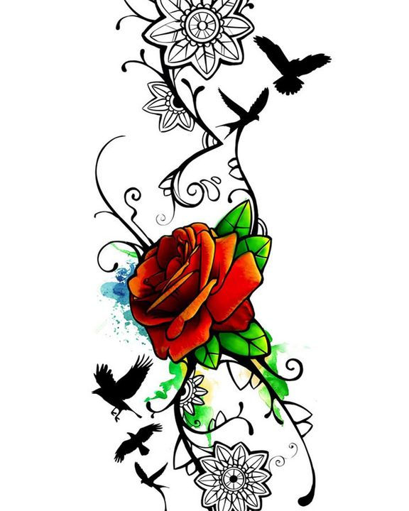 50407291_10210752228840504_6490195625823