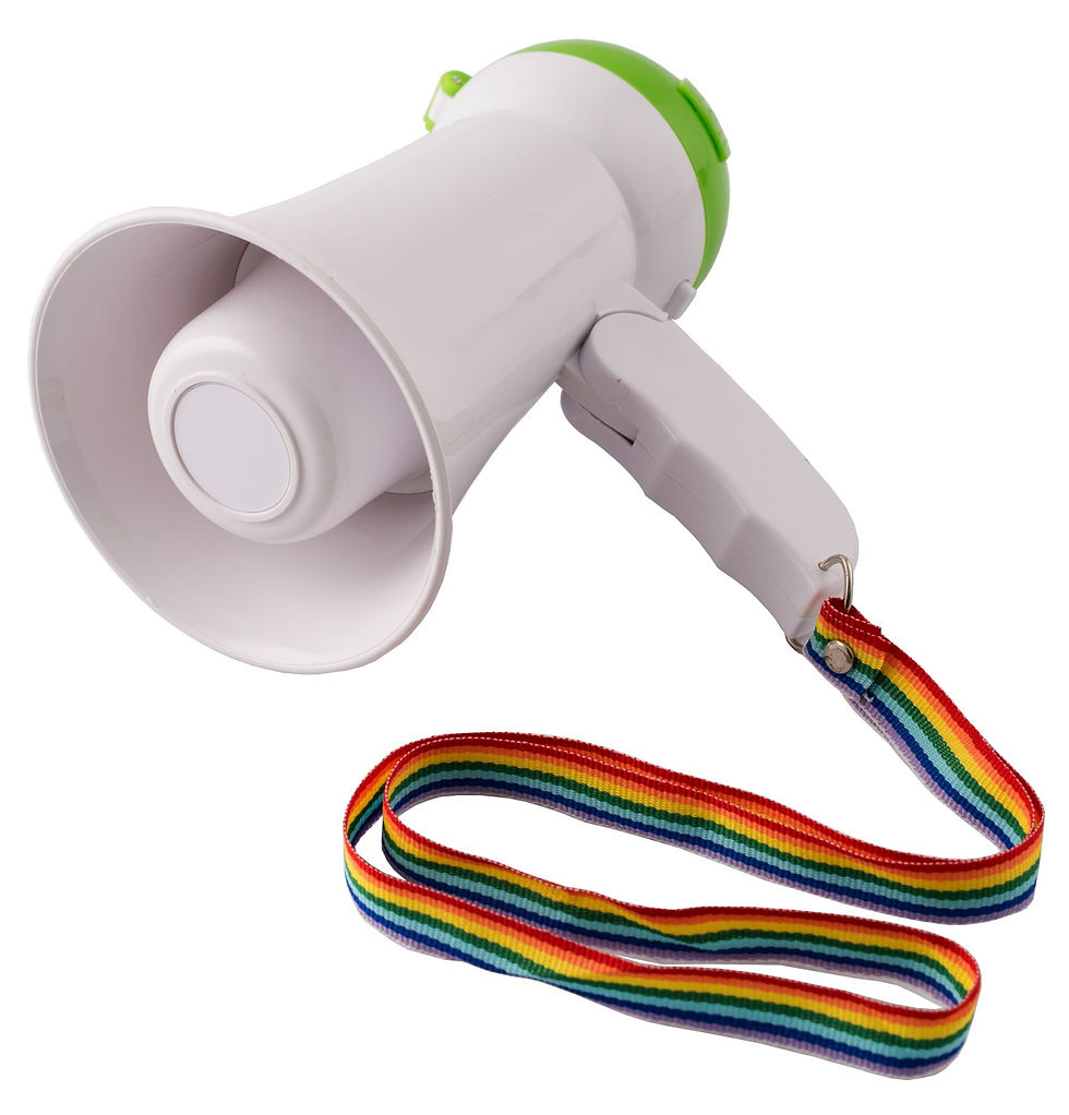 Loud Hailer Bullhorn Megaphone with Siren and Recording