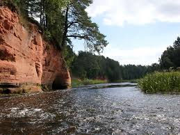 Salaca