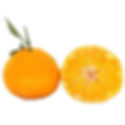 Fresh Mandarin Oranges