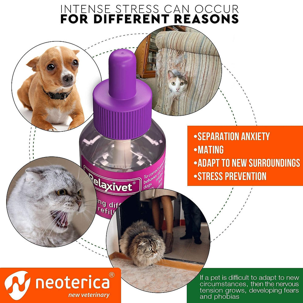 Thumbnail: Calming Cat Diffuser Refill Anti Anxiety Pet Feline Calm Pheromones 6 Pack