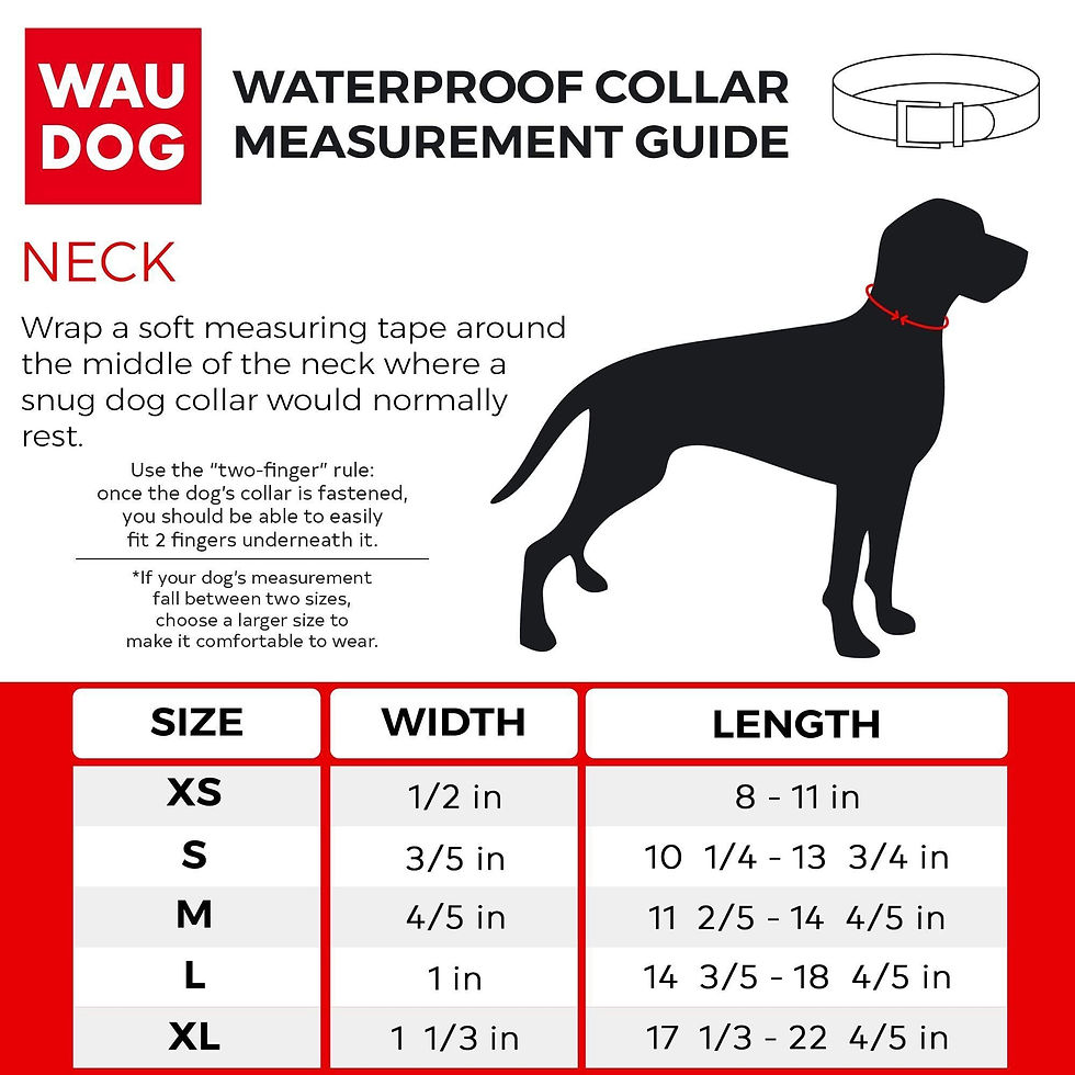 Thumbnail: Leather Dog Collar with NASA Design for XSmall Dogs 811 in Neck x 0.5 in Wide
