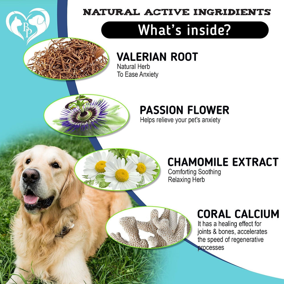 Thumbnail: Hemp Calming Chews for Dogs Puppy Pet Separation Anxiety Relief Treats for Dog