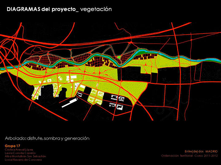 Vegetación